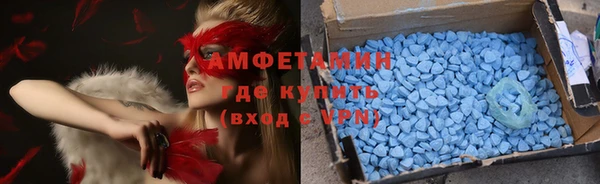гашик Алексин