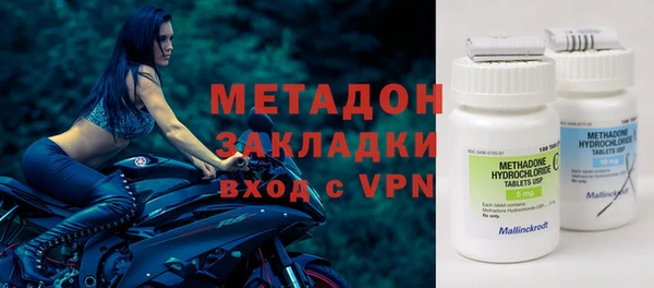 стаф Алзамай
