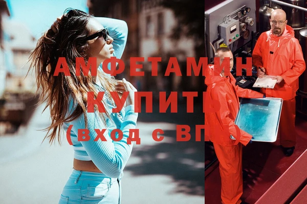 стаф Алзамай