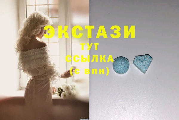 гашик Алексин