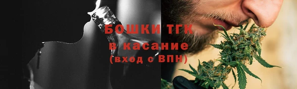 гашик Алексин