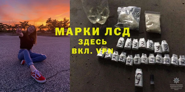 стаф Алзамай