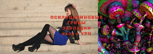 спиды Алексеевка