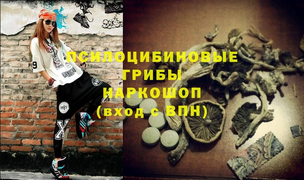 спиды Алексеевка
