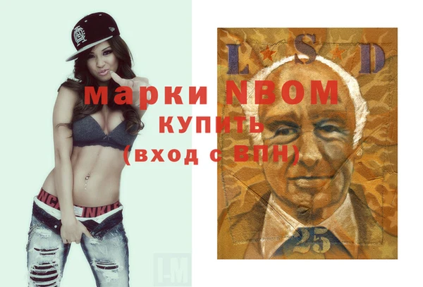 гашик Алексин