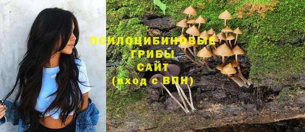 гашик Алексин