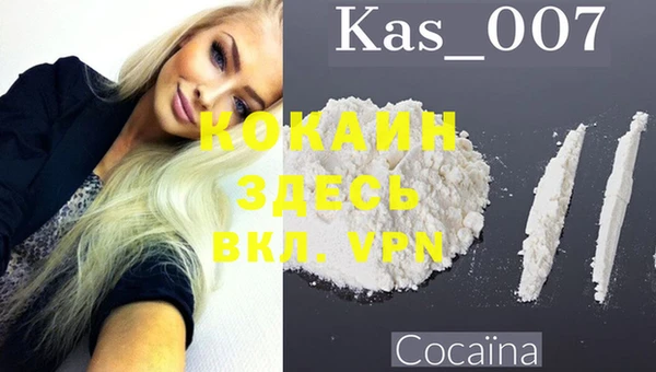 гашик Алексин