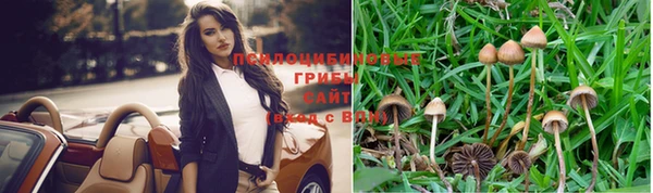 спиды Алексеевка